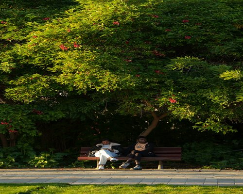 Person sitting relaxed on a park bench
